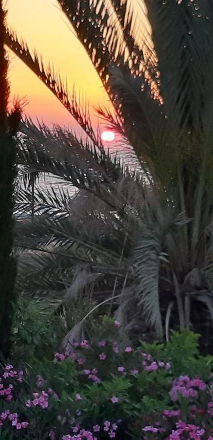 Coral Bay Suite Cyprus Exteriör bild